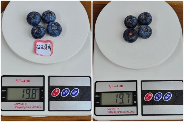 tcl冰箱質(zhì)量怎么樣（tcl格物冰箱q10 深度評測）(24)