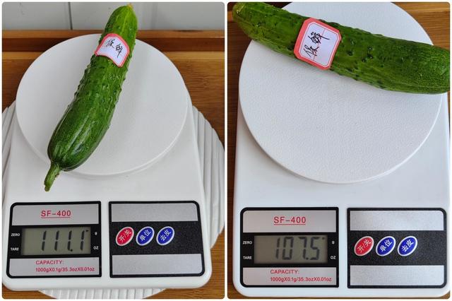 tcl冰箱質(zhì)量怎么樣（tcl格物冰箱q10 深度評測）(33)