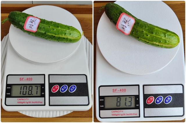 tcl冰箱質(zhì)量怎么樣（tcl格物冰箱q10 深度評測）(34)