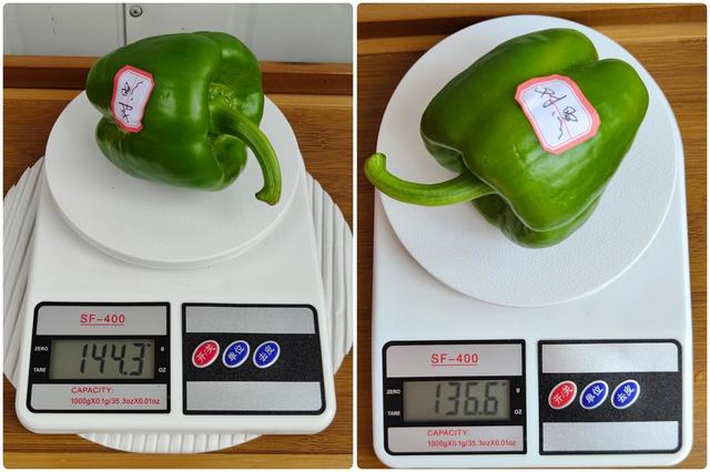 tcl冰箱質(zhì)量怎么樣（tcl格物冰箱q10 深度評測）(36)
