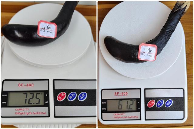 tcl冰箱質(zhì)量怎么樣（tcl格物冰箱q10 深度評測）(43)