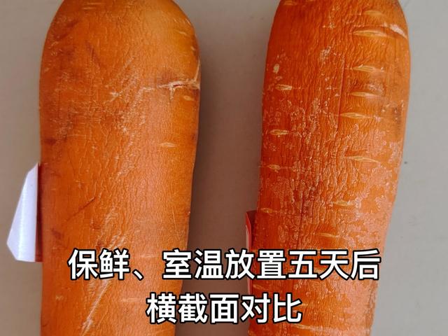 tcl冰箱質(zhì)量怎么樣（tcl格物冰箱q10 深度評測）(44)