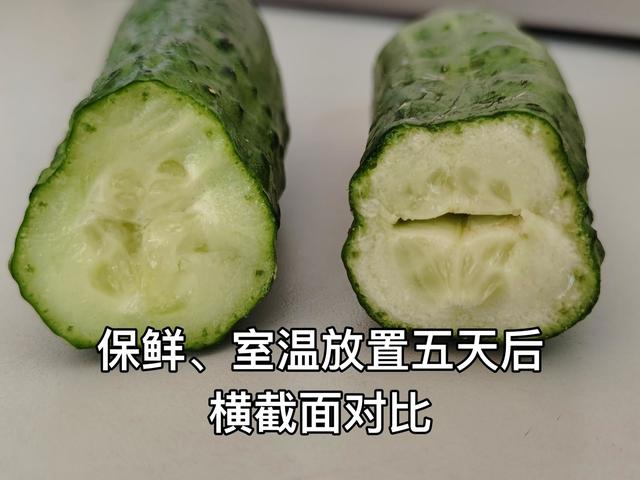 tcl冰箱質(zhì)量怎么樣（tcl格物冰箱q10 深度評測）(45)