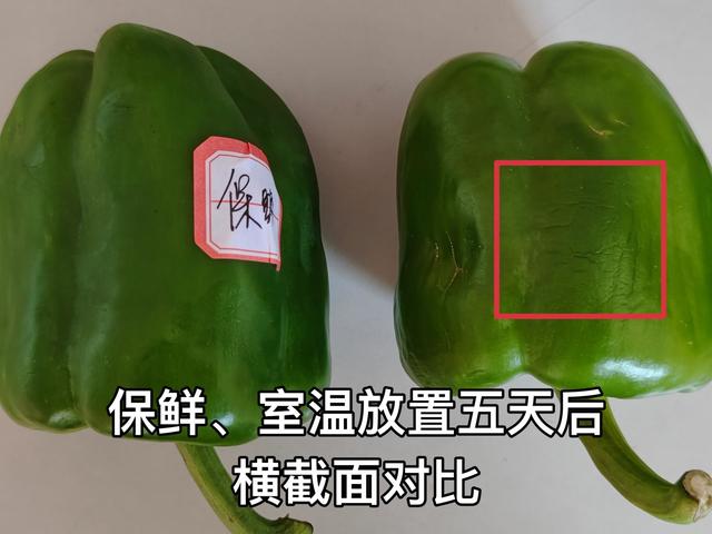 tcl冰箱質(zhì)量怎么樣（tcl格物冰箱q10 深度評測）(46)