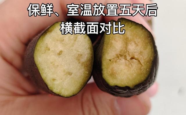 tcl冰箱質(zhì)量怎么樣（tcl格物冰箱q10 深度評測）(47)