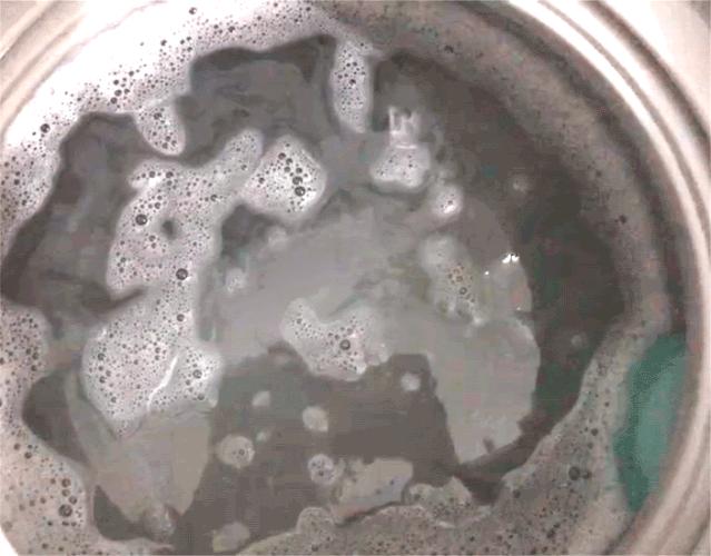 洗衣機(jī)里的污垢怎么清理（清理洗衣機(jī)垃圾最好方法）(12)