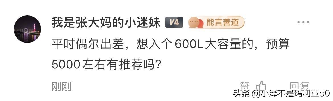 冰箱買什么品牌好性價高又省電（15款經(jīng)濟(jì)又實惠冰箱推薦）(28)