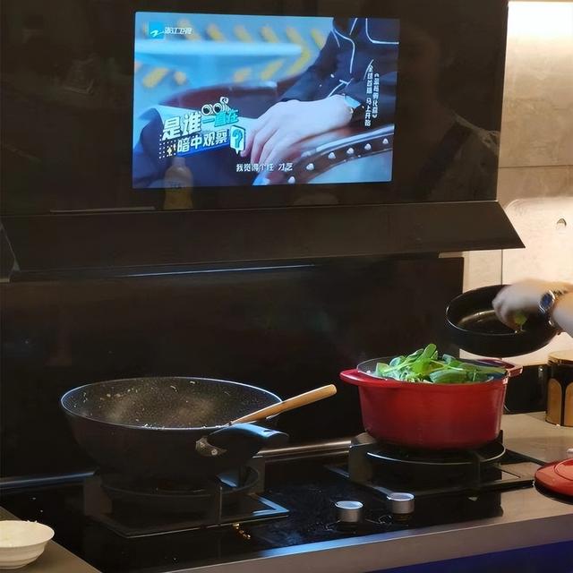 抽油煙機怎么選（油煙機挑選注意事項）(9)