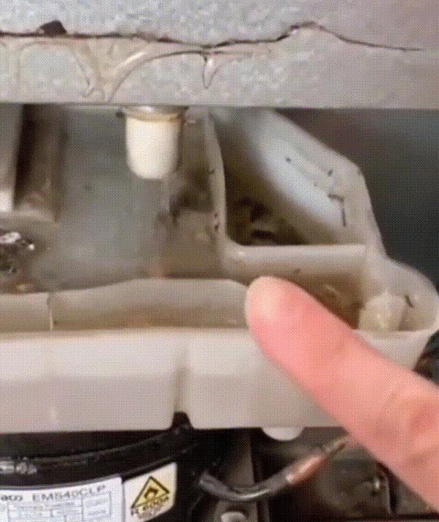 冰箱底下突然流出很多水怎么辦（解決冰箱積水小妙招）(9)